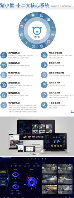 走進軟三·數智企業 廈門工業軟件、智慧養豬、人工智能的頭雁企業探秘